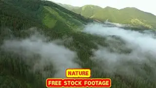 NATURE HILLS   FREE STOCK FOOTAGE   COPYRIGHT FREE VIDEOS   NO COPYRIGHT   ROYALTY FREE   HD   4K 13