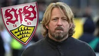 Mislintat: 
