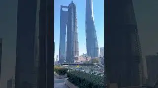 The 3 giant towers in Shanghai #skyscraper #travel