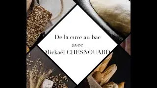 De la cuve aux bacs