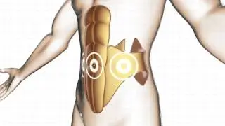 Пояс миостимулятор для тренировки мышц пресса для женщин и мужчин Slendertone Flex Unisex