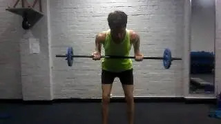 ARMS - Bicep Row