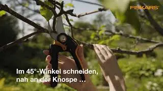 Beschneiden mit Fiskars Gartenscheren