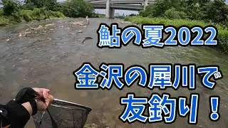 金沢の犀川で友釣り！【ゴリ】