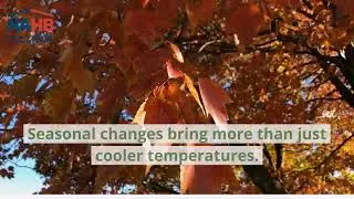 Fall Tips to Get Your Home Ready for Winter