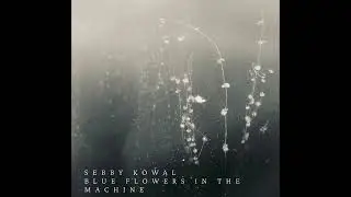 Sebby Kowal - Hachiko (Shimmering Moods Records)