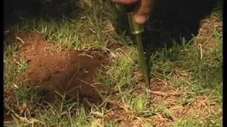 How To Identify And Control Soil Problems