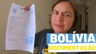 DOCUMENTA&Ccedil;&Atilde;O PARA VIAJAR COM PET NA BOLIVIA - ARGENTINA ep117