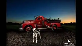 Dallas Dog Photographer Debuts Light-Stitched&trade; Pet Portraits