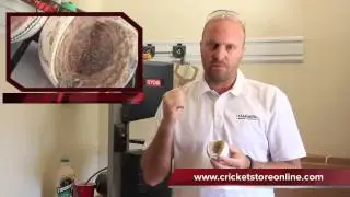 I just cut open a $120 USD Kookaburra cricket ball. See whats inside.