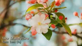 Yunus Emre (Ra) | Yalvar Kul Allaha Yalvar | T.Engin İçöz (Ra)