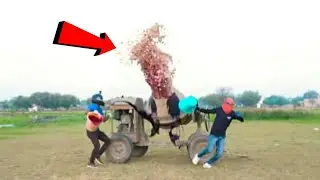 Largest Elephant toothpaste😱 Please don't Try This 🚫 #shorts #sikkaboo #crazxyz