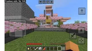 Proof of my Survival world