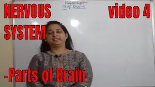 NERVOUS SYSTEM (Parts of BRAIN) BIOLOGY /ICSE/ Grade 10th