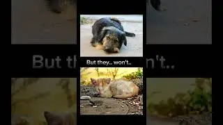Reality is hard, not only for us..