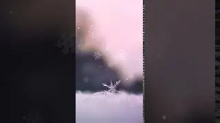 [PTA] Soft Winter White Animated Lock Screen
