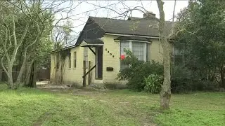 Animal Care officers raid Westside Jacksonville home, seize dogs