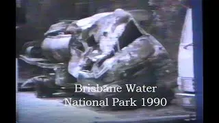1990 Brisbane Water National Park & Tacoma Wyonga Fires, similar to Koolewong 2025