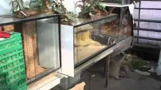 Kerf.de Stephan Otto Terraristikbedarf Futtertiere Terrarientechnik