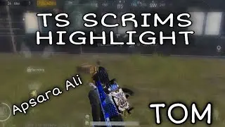 Apsara Ali|TS SCRIMS HIGHLIGHTS|PUBG MONTAGE|First Video In This Channel