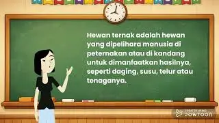 Teacher Intro