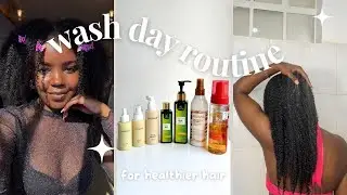 FULL WASH DAY ROUTINE I Healthy hair routine | Natural hair