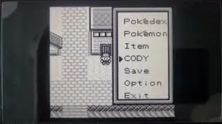 Pok&eacute;mon Brown Team Update: Level 28 (2026)
