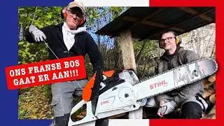 Nieuwe Stihl kettingzaag voor onderhoud van ons Franse bos