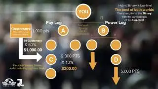 Vida Divina Compensation Plan
