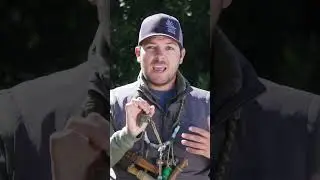 Duck Calling 101