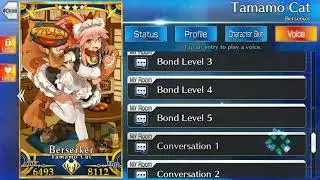 fgo Tamamo cat Bond dialogue 1 to 5