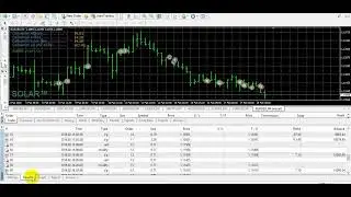 CRAZY FOREX ROBOT FOREX EA EURUSD BACK TEST - DOWNLOAD
