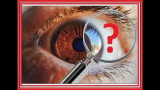 Spot The Differences Games Brain Games Kids & Adult | Photo Hunt Game Shows | I Spy Challenge Part-3