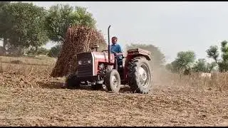 PILLOW FARMING