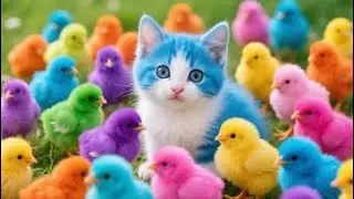 Catch Color Chicken, Cute Chicken, Duck, Rainbow Chicken, Rabbit, Cute Animals
