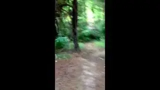 Geocache in my backyard!