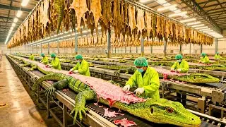 Mass Production of Lizard Leather 🦎 | Inside the Modern Factory Mass-Producing Lizard Leather