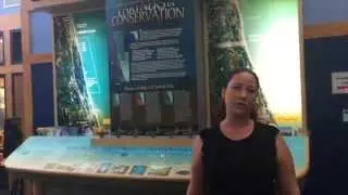 GTM Research Reserve invites you to explore our Environmental Education Center
