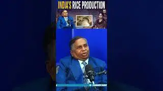 INDIA'S RICE PRODUCTION MMTV|Money Mantan TV|MONEY MANTAN TV