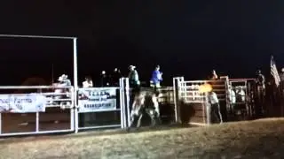 Big Gun Bucking Bulls - Lucky Roll