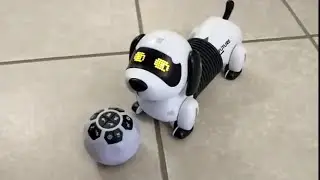 Follow The Dachshund Robot Puppy - Cute and Fun!!