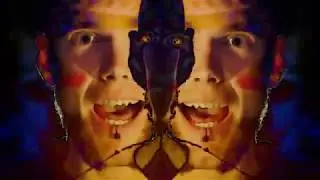 The Sensitives - Det Skiter Du I (OFFICIAL VIDEO)