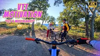 VTT, les 4 Musculaires ! + Kiko qui fait du vélo pour la 1ere fois 😍 Pierrefeu du var, Enduro