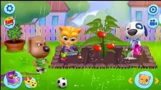 My talking tom 🤣😂 #mytalking #tom #mytalkingtom #shorts #live #streem