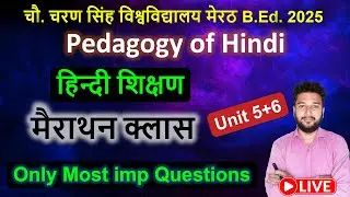 हिन्दी शिक्षण Pedagogy of Hindi b.ed marathon class live Unit 5+6 imp important question CCSU