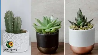 40 Unique INDOOR PLANTERS for Modern Homes @GMIngenuityCreations