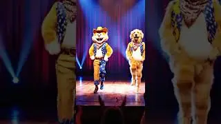 Adorable Dog and Cat Dance Off: Who Wins the Floor?