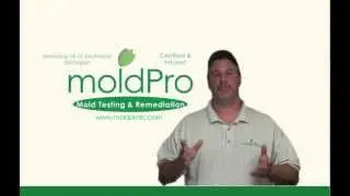 moldPro Demonstrates Dry Ice Blasting Mold Removal