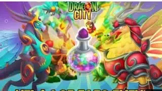 A NEW AGE FAE MAZE HAS LANDED TO DRAGON CITY