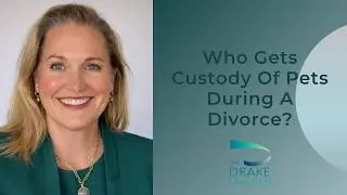 FAQ: Who Gets Custody Of Pets During A Divorce?